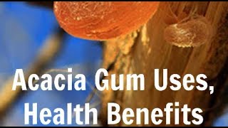 Acacia Powder Supports Weight Loss Reduces Gut Inflammation and Lowers Cholesterol  Gum Arabic [upl. by Ettenauq307]