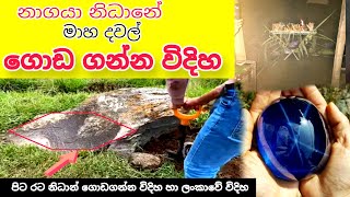 පිට රට නිධාන් ගොඩගන්න විදිහ හා ලංකාවේ නිධාන් ගොඩගන්න විදිහ nidan wasthu nidan salkunuashiya pro [upl. by Hgieleak]