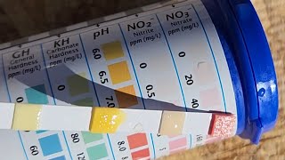 Bacterial Oxidation of Urine to Nitrates [upl. by Tamarah]