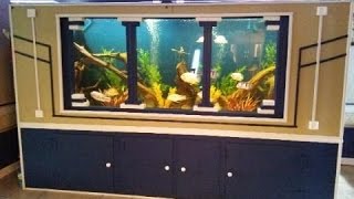 DIY 1150 gallon plywood aquarium Part 3 UPDATE [upl. by Akram347]