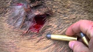 Marlin 4570 Deer Kill Shot with 405 grain round [upl. by Ahseiyt]