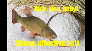 Rice  a surprisingly good fishing bait [upl. by Einaej]