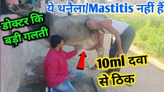 गाय के थन में सूजन पानी इकट्ठा होना  uder swelling in cow [upl. by Garihc]