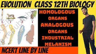 Evolution Part 4  Convergent Evolution  Divergent Evolution  Industrial Melanism  Ncert class 12 [upl. by Jonathon]