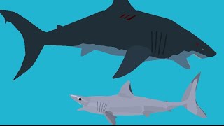 Megalodon vs Giant Mako Shark [upl. by Sarene310]