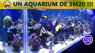 Aquarium recifal 2300 litres [upl. by Anirehs]