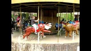 MerryGoRound Carousel at the Indianapolis Zoo [upl. by Katie802]