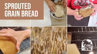 How to Make Sprouted Grain Bread [upl. by Annaert912]