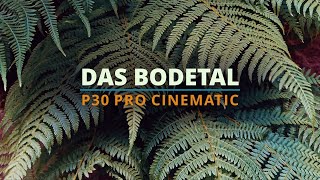 Das Bodetal  Thale  Harz 4K [upl. by Einalam]