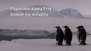 Poparzeni Kawą Trzy quotSzukam Cię Wszędziequot OFFICIAL LYRIC VIDEO [upl. by Ylla]