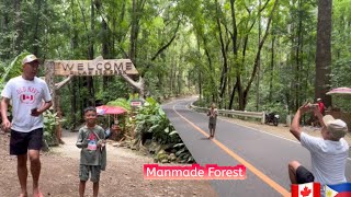 Manmade Forest in Bilar Bohol Philippines  Balikbayan 2024 [upl. by Inor]