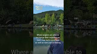 Anglers in South Korea anglers travel beautifulkorea ytubeshorts nature fishing [upl. by Faydra206]