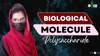 polysaccharide class 11  polysaccharide mdcat polysaccharide [upl. by Vierno160]