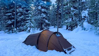 Bushcraft WINTER CAMPING Alone Build WARM SNOW Shelter WOODSTOVE Inside SNOWFALL amp Cowboy Steak ASMR [upl. by Helbona776]