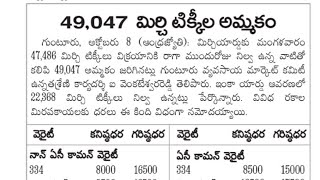 Guntur mirchi market sales report  09102024 [upl. by Fortier934]