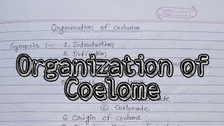 Organization And Definition of Coelome Tyeps Evolution theories msc2021 mscnotes [upl. by Hayne]