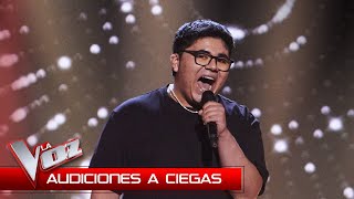 Alan Brizuela canta quotA song for youquot  Audiciones a Ciegas  La Voz Antena 3 2024 [upl. by Shieh]