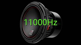 Tone frequency 11000Hz Test your hearing speakersheadphonessubwoofer [upl. by Borman]