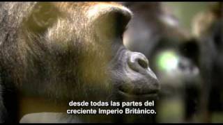 15 01 El genio de Charles DarwinRichard Dawkins La vida Darwin y todas las cosas  subtitulado [upl. by Shaw56]