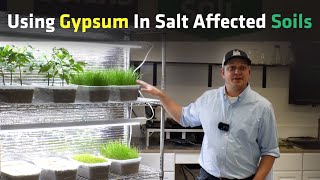 Gypsum The Secret to Explosive Plant Growth in High Sodium Soil [upl. by Ybhsa638]