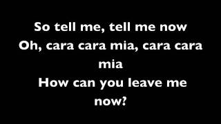 Cara Mia Lyrics [upl. by Ahtanoj]