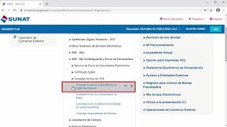 Descargar el XML y CDR de SUNAT [upl. by Meekyh]