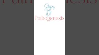 Stages Of Pathogenesis 🦠pathology pathogenesis nursingstudent biology medical hospital [upl. by Ocirne]