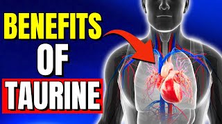 The Benefits of TAURINE 7 Astonishing Benefits You Need to Know [upl. by Anilem]