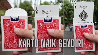 RAHASIA SULAP KARTU BISA NAIK SENDIRI rynku [upl. by Stefano]