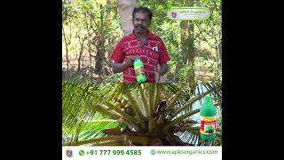 Tamil Coconut Online Farmer MrMaariswamy giving feedback about our Cocomax result [upl. by Ellata446]