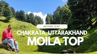 Moila Top Chakarata Uttarakhand l [upl. by Enelram]