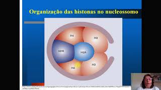 Compactação do DNA [upl. by Trillbee]