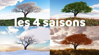 Vocabulaire des saisons  lHiver [upl. by Reggy97]