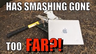 Bored Smashing  MacBook [upl. by Moran]