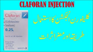 Claforan injection Cefotaxime Injection Uses  Side Effects Dose [upl. by Coleman]