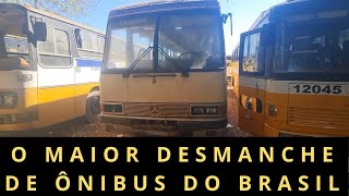 O MAIOR DESMANCHE DE ÔNIBUS USADOS DO BRASIL [upl. by Ailemaj]