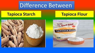 Difference between Tapioca Starch and Tapioca and Flour [upl. by Blondy]