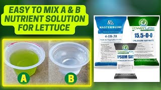 How To Mix Hydroponic Nutrient Solution For Lettuce  Hydroponic Nutrient Solution  Masterblend [upl. by Daren]