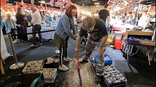 ZO VEEL STENEN 😱😍 INTERNATIONALE MINERALENBEURS  Dagboek van een Spoonie 87  VLOG [upl. by Sivart]