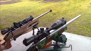 Whos the Boss Gruning Precision vs Steyr 300M CISM [upl. by Suirtemed]