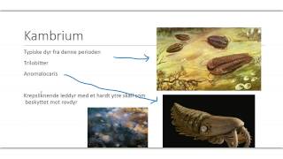 Livets historie på jorda  Kambrium [upl. by Galvan]