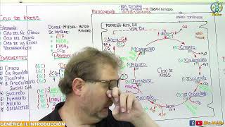 ✅✅ ✅ M3 CLASE 12 👉🏻 METABOLISMO CELULAR I [upl. by Yatnod470]