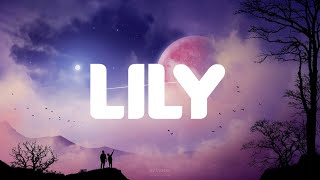 Lily  Alan Walker Lyrics  Selena Gomez Marshmello David Guetta [upl. by Mcroberts189]