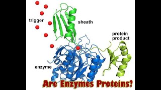 Health Study Will Focus on a Database to Identify Normal levels of Bacterial Enzymes and Proteins [upl. by Cowie]