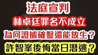 【林卓廷脫罪】為何證據確鑿還能放生林卓廷？｜許智峯後悔當日潛逃？｜【肥仔傑．論政】 [upl. by Syl984]