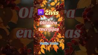 💎New ZIVIS OKTOBRA ENERĢIJAS 🙌 Nelllija Kmita [upl. by Eedebez]