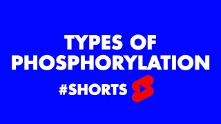 Types of Phosphorylation Shorts 02 shorts [upl. by Geminian]