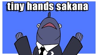 Sakanas baby hands [upl. by Retxed683]