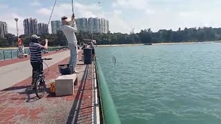 Bedok Jetty from last Sunday many fish oil spill effect seems over [upl. by Buxton]