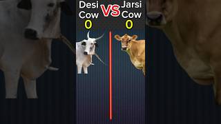 Desi Cow VS Jarsi Cow ❓ short ytshorts [upl. by Thalia]